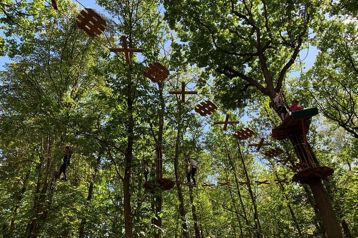 Tree-Top Adventure in Forest of Meudon — Accrobranche Courses Near Paris photo 4