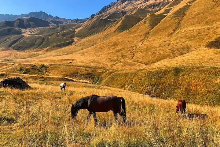 4x4 Day Trip from Tbilisi to Kazbegi & Truso Valley — Ananuri, Gudauri, Gergeti photo 3