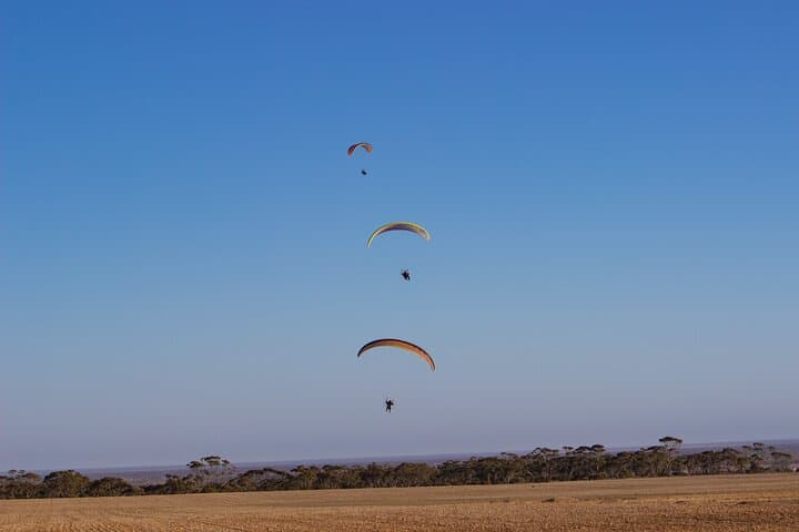Paramotoring Over Bentota: Tandem Powered Paragliding Above Sri Lanka's Coast photo 6