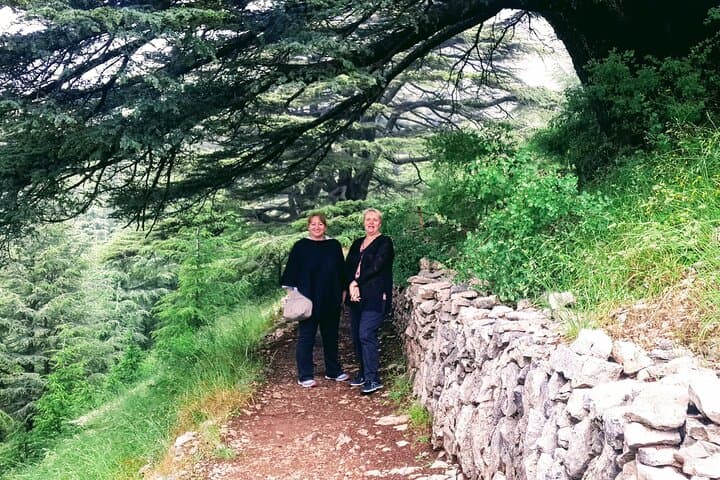 Full-Day Private Tour: Cedars, Baalbek & Château Ksara from Beirut photo 2