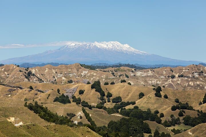 Private Customizable Tours Around Wellington: Tailored City, Coast and Birdwatching Excursions photo 3