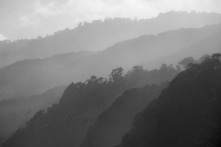 Private Customizable Tours Around Wellington: Tailored City, Coast and Birdwatching Excursions photo 4