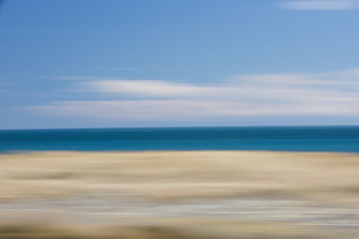 Private Customizable Tours Around Wellington: Tailored City, Coast and Birdwatching Excursions photo 6