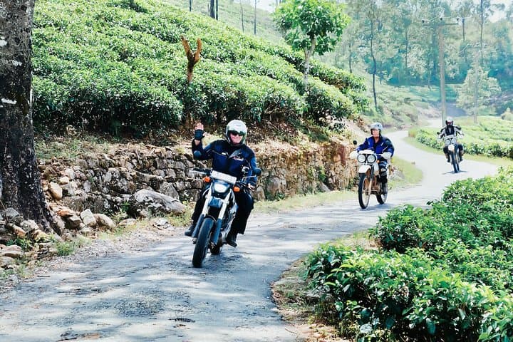 7-Day Guided Motorbike Tour Sri Lanka: Waterfalls, Tea Country & Sigiriya photo 5