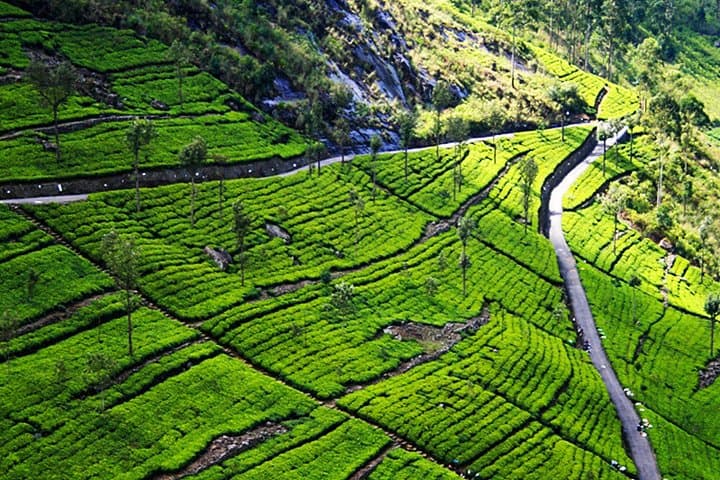 Helicopter Over Kandy: Scenic Flights from Hatton photo 5