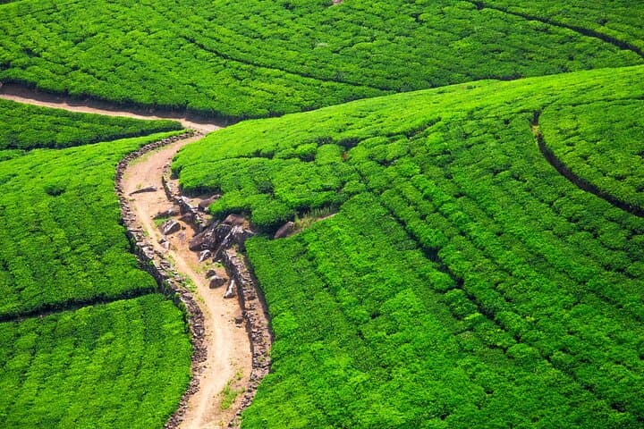 Helicopter Over Kandy: Scenic Flights from Hatton photo 6
