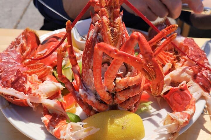Aran Islands Pub Tour from Galway — Inisheer Flight, Seafood & Local Pubs photo 4