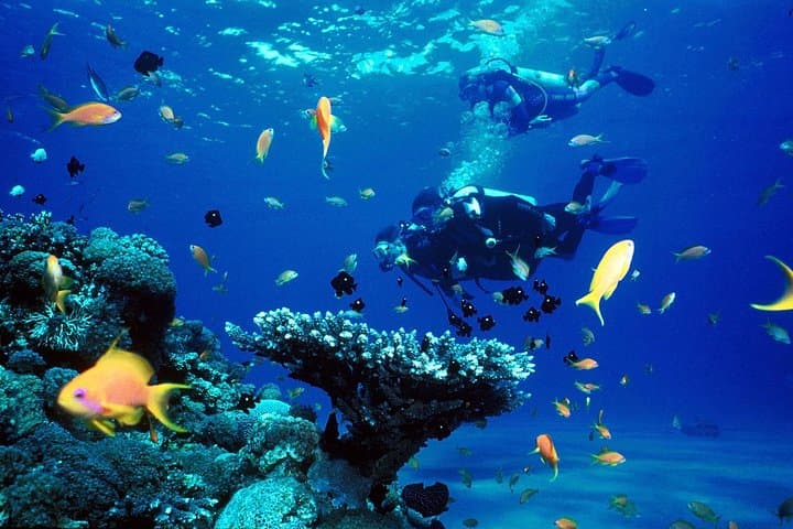Cairo Nile Cruise Hurghada All-Inclusive 10-Day Egypt Holiday photo 4