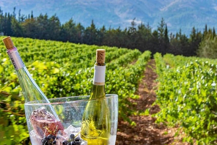 Beirut to Bekaa: Full-Day Private Wine Tasting Tour of Ksara, Kefraya & St Thomas photo 6