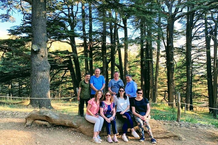 Qadisha Valley & Cedars of God: Day Trip to Bcharre and the Gibran Museum photo 1