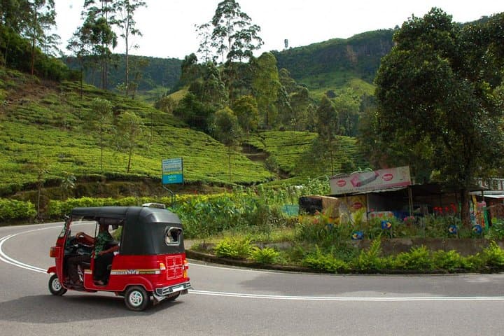 Nuwara Eliya Tuk Tuk Adventure: Scenic 3-Hour Hill Country Tour photo 6