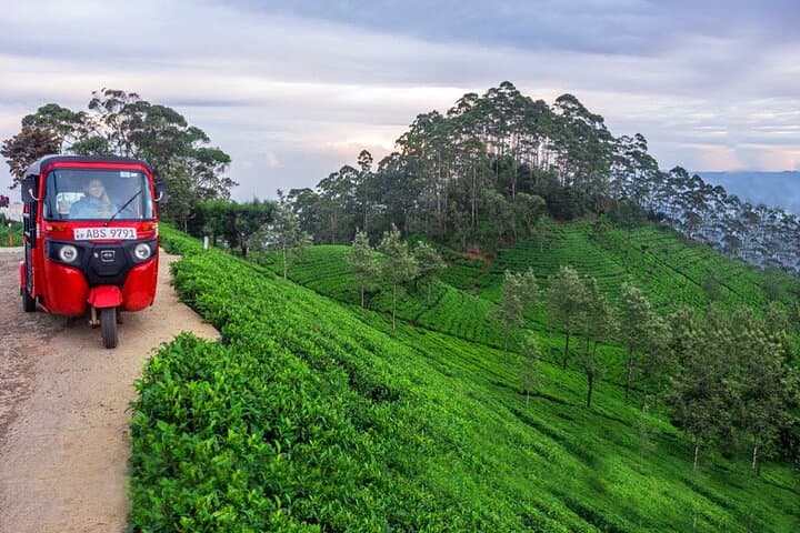 Nuwara Eliya Tuk Tuk Adventure: Scenic 3-Hour Hill Country Tour photo 5