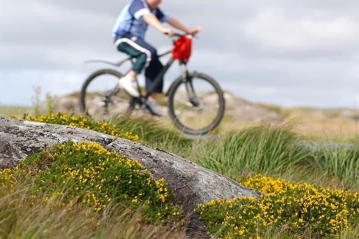 Self-guided Cycling on Inishbofin: Full-day Island Ride on Connemara’s Wild Atlantic Way photo 3