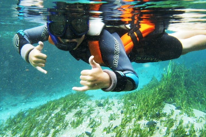 Snorkel the Crystal Currents of Rio Sucuri: A 4-Hour Bonito Adventure photo 3