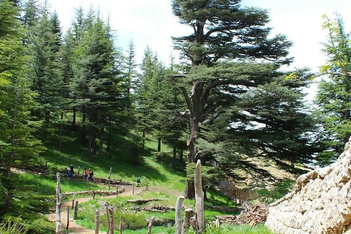 Discover Lebanon: 7-Day Private Highlights Tour from Beirut photo 6