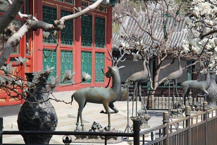 Beijing Cherry & Magnolia Blossom Day Tour — Yuyuantan Park and Summer Palace photo 2