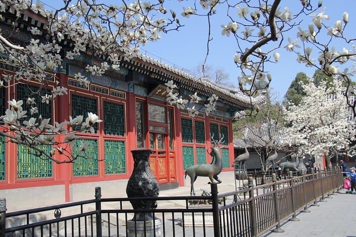Beijing Cherry & Magnolia Blossom Day Tour — Yuyuantan Park and Summer Palace photo 4