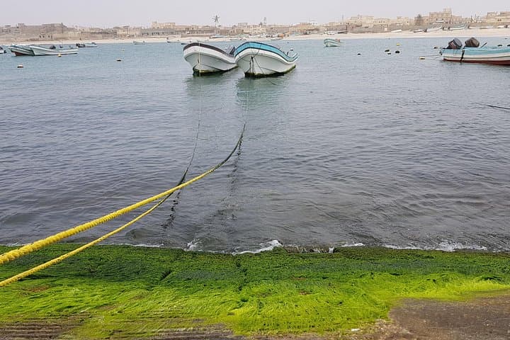 Salalah Excursion to East Salalah and Mirbat — Sumhuram, Taqa & Bin Ali Mosque photo 2