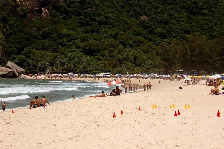 Sitio Burle Marx & Max Cachaça Private Tour from Rio — Gardens, Distillery & Beach photo 4