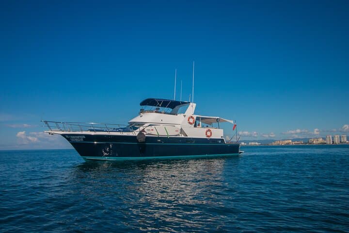 Puerto Vallarta Private 4-Hour 57' Bertram Yacht Charter — Bay Beaches & Snorkel Stops photo 1