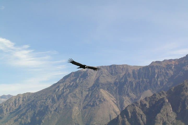 Journey to Southern Peru: 11-Day Cultural & Andes Adventure photo 4