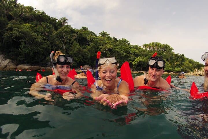 Private Los Arcos Snorkel & Beach Tour from Puerto Vallarta — Snork Los Arcos and Las Animas