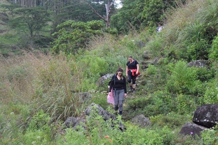 Kota Ganga Waterfall Hike — Knuckles Mountain Range Day Trek from Kandy photo 2