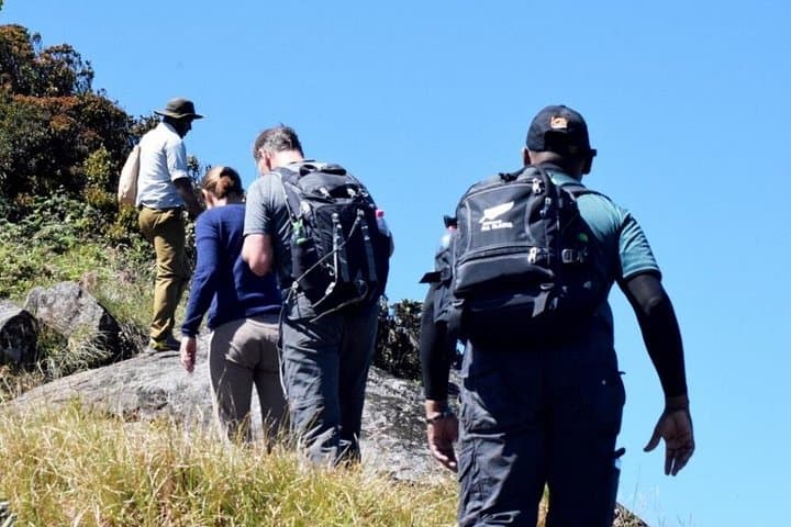 Hike Kirigalpoththa Peak via Horton Plains — Challenging 7km Trek in Sri Lanka photo 1