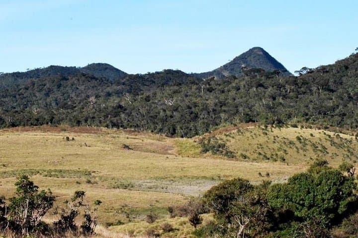 Hike Kirigalpoththa Peak via Horton Plains — Challenging 7km Trek in Sri Lanka photo 2