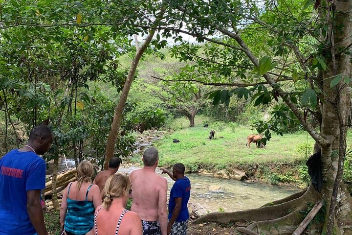 Benta River Falls and Rick's Cafe Day Adventure from Montego Bay photo 6