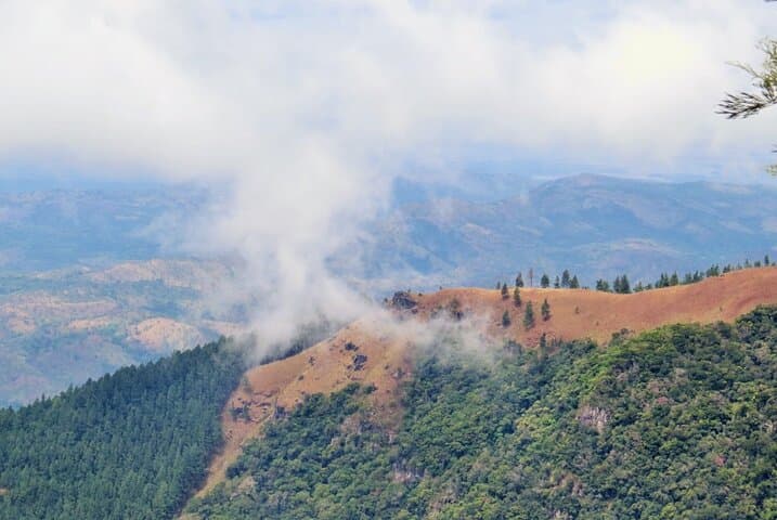 Devil's Staircase Guided Hike — Bambarakanda Falls, V‑Cut & Ohiya Day Trek photo 2