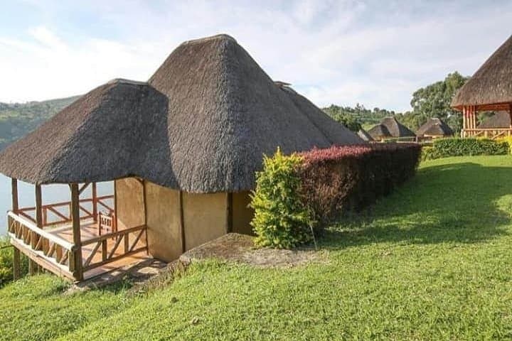 6-Day Private Safari: Kibale, Semliki & Queen Elizabeth National Parks photo 2
