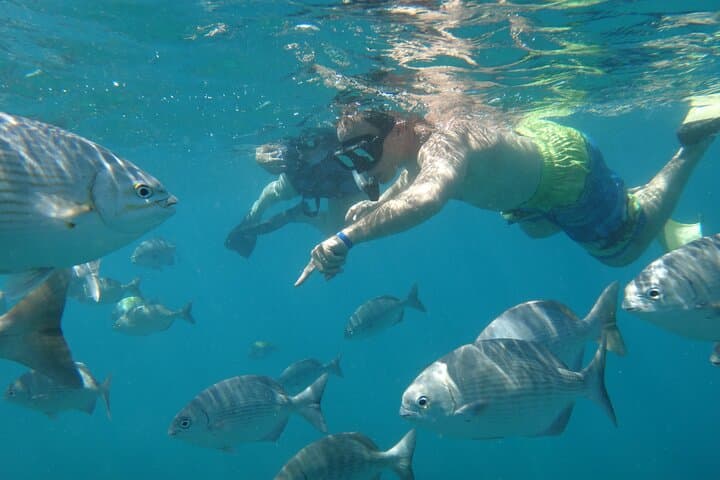 Snorkel Los Cabos: Santa Maria & Chileno Bay Beach Hopper photo 4