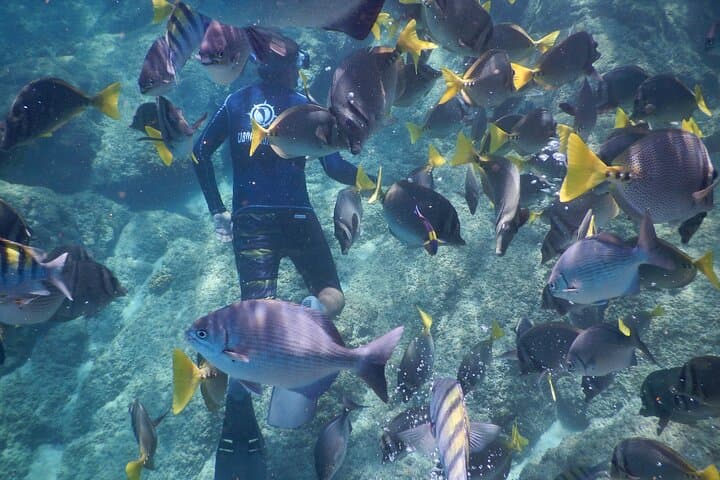 Snorkel Los Cabos: Santa Maria & Chileno Bay Beach Hopper photo 5