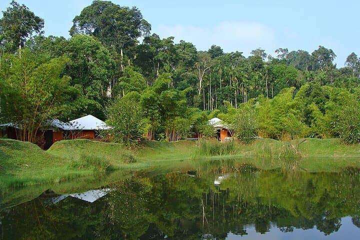 Coorg Culture & Coffee: 3-Day Private Transfer from Bangalore photo 3