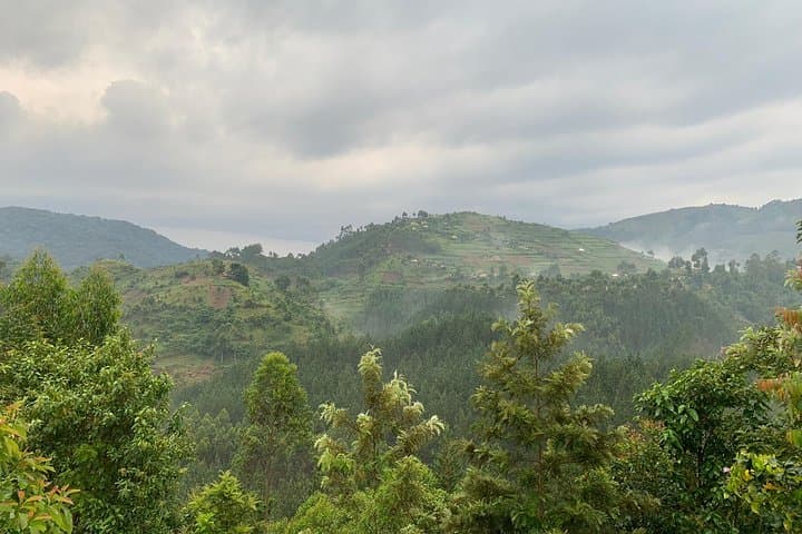 3-Day Gorilla Trek to Bwindi National Park from Kigali — Mountain Gorilla Safari photo 4