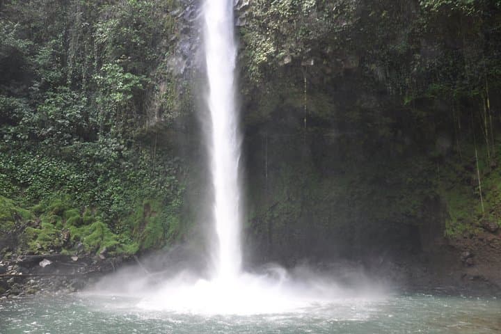 Full-Day Arenal Volcano & Rain Forest Tour from Guanacaste — La Fortuna Waterfall & Ecocentro Danaus photo 2