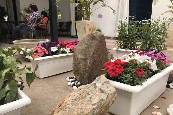 Eco-Farm Overnight near Delhi — Vira Eco Life Stay & Village Experience photo 3