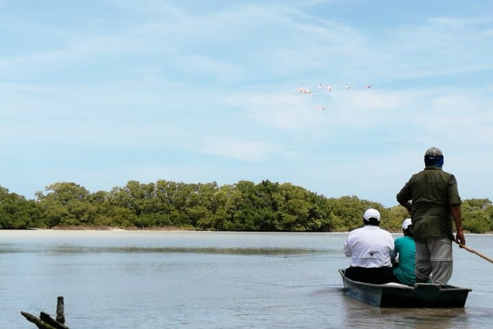 Sisal Beach Private Boat & Kayak Tour from Mérida
