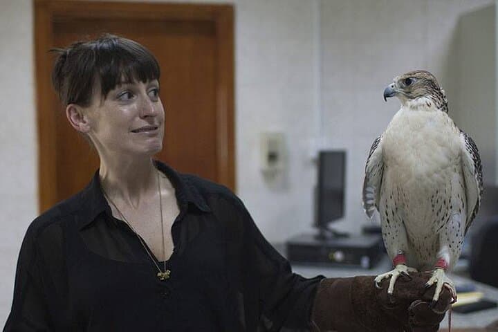 Inside the Abu Dhabi Falcon Hospital: A Hands-On Falconry Encounter photo 2