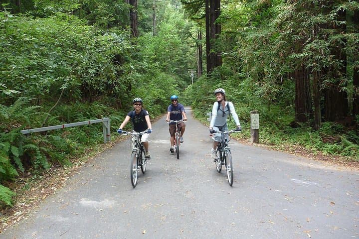 E-Bike Tours Around Heidelberg: Neckar Valley & Odenwald Countryside Ride photo 3