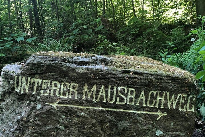 Guided Forest Hike in Heidelberg: Odenwald Trails 10 Minutes from the City photo 5