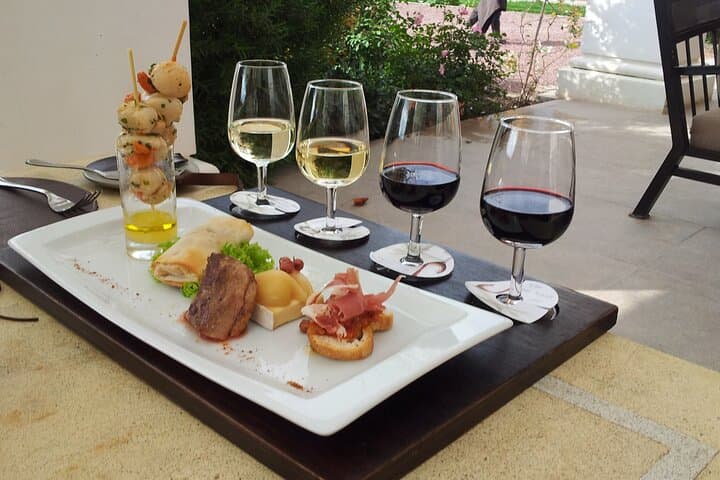 Full-Day Private Surf and Wine Tour from Santiago to Casablanca Valley photo 3