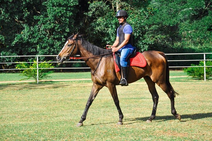 Negombo Professional Horse Riding: One-Hour Coastal Session with Pickup photo 2