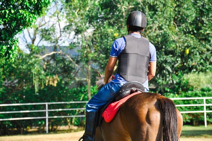 Negombo Professional Horse Riding: One-Hour Coastal Session with Pickup