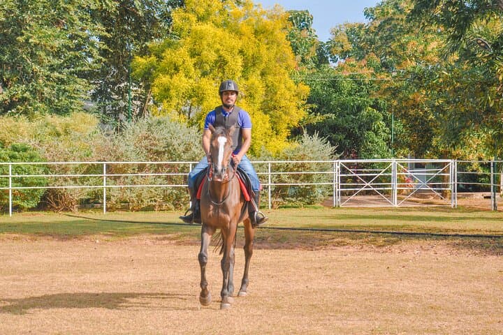 Negombo Professional Horse Riding: One-Hour Coastal Session with Pickup photo 6
