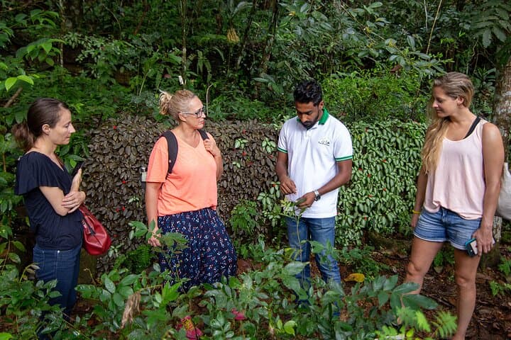 Agro Tour of Sri Lanka: 6-Day Farm, Tea & Paddy Field Immersion photo 2