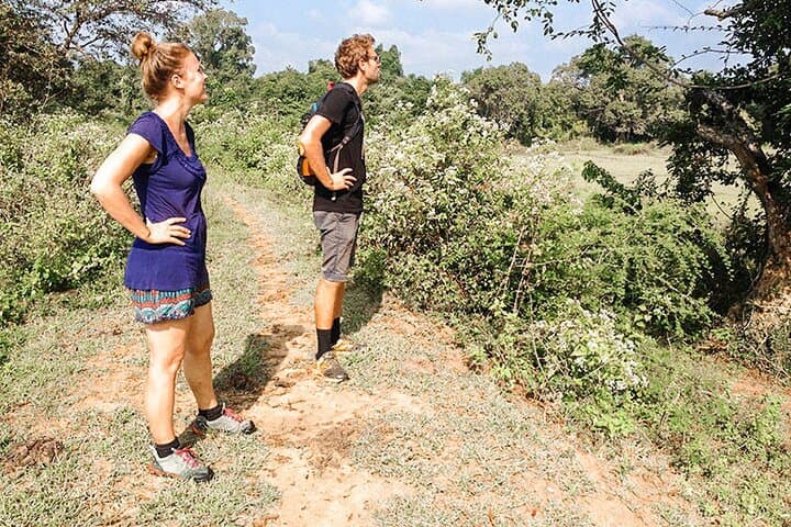 Agro Tour of Sri Lanka: 6-Day Farm, Tea & Paddy Field Immersion photo 3