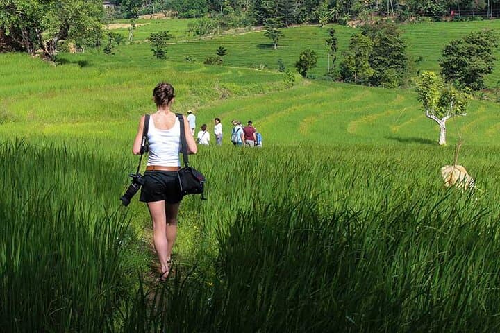 Agro Tour of Sri Lanka: 6-Day Farm, Tea & Paddy Field Immersion photo 4