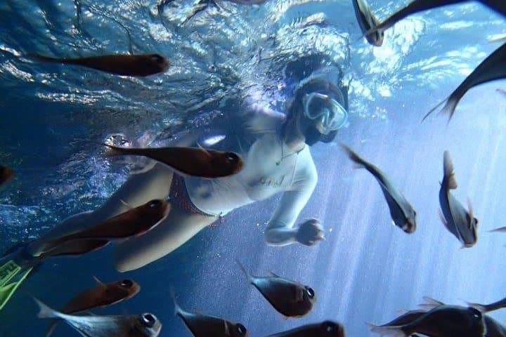 Private Island Hopping & Snorkel Charter from St. Thomas — 7.5-Hour 35' Marlin photo 4